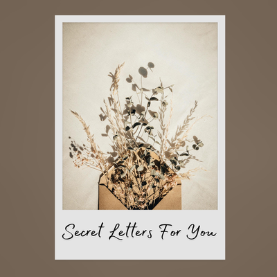 Secret Letters For You By Amalia Booth's cover