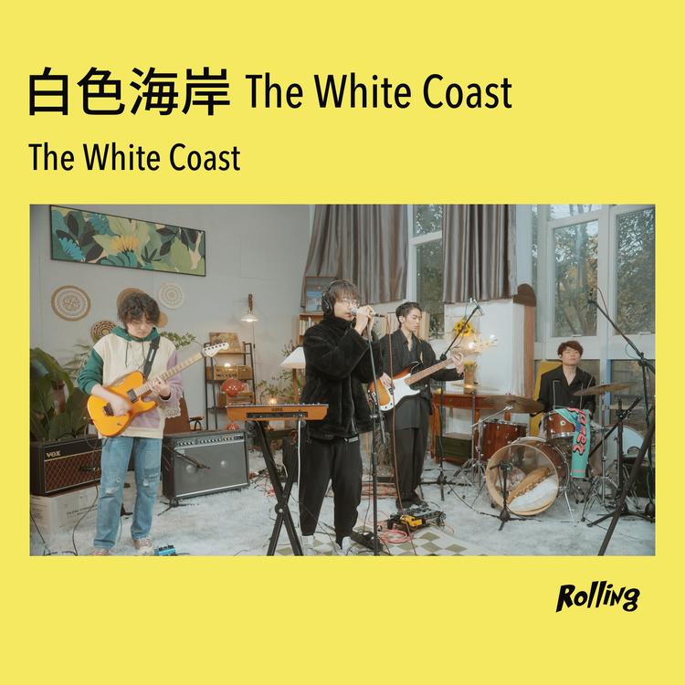 白色海岸The White Coast's avatar image