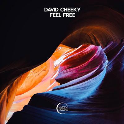 David Cheeky's cover