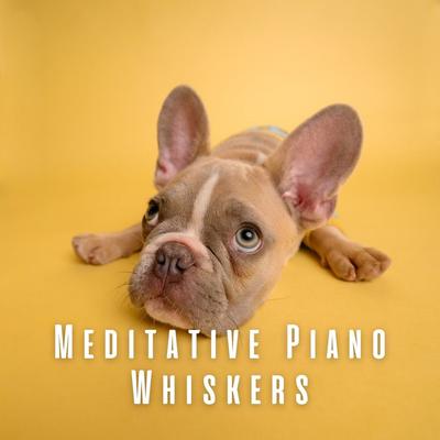 Meditative Piano Whiskers: Relaxing Tune for Dogs's cover