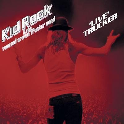 Picture (feat. Gretchen Wilson) [Live] By Kid Rock, Gretchen Wilson's cover