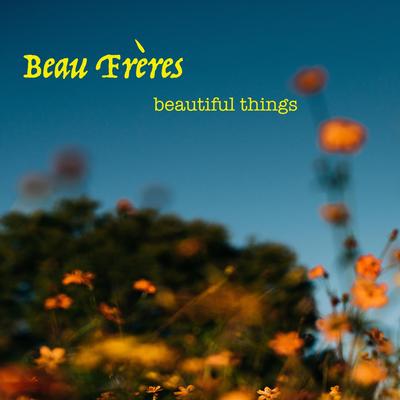 Beautiful Things's cover