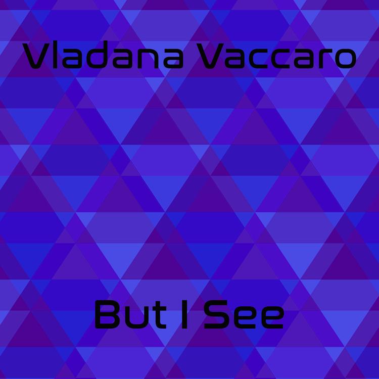 Vladana Vaccaro's avatar image