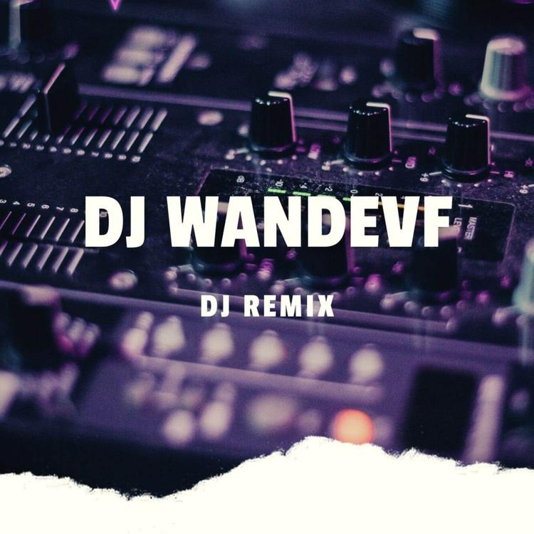 DJ Wandevf's avatar image
