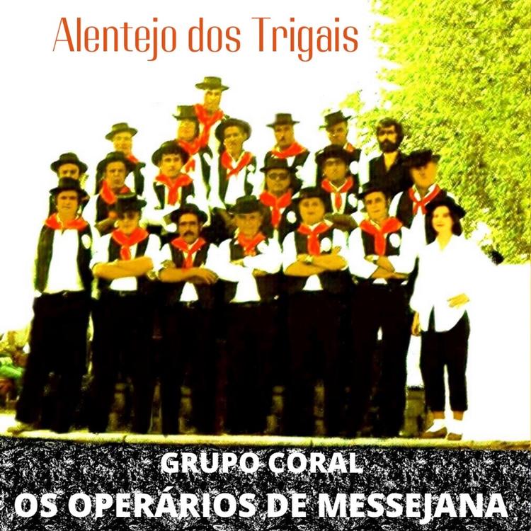 Grupo Coral Os Operários De Messejana's avatar image