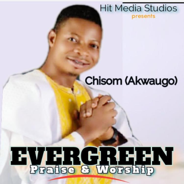 Chisom (Akwaugo)'s avatar image