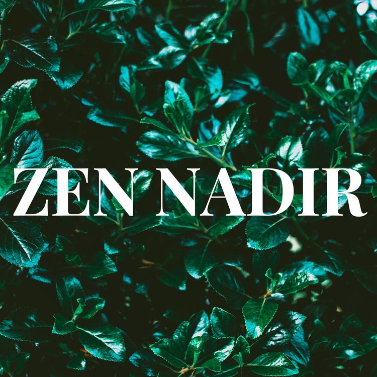 Zen Nadir's avatar image