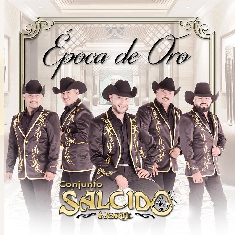 Conjunto Salcido Norte's avatar image