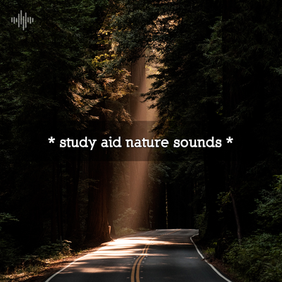 * study aid nature sounds *'s cover