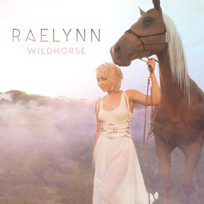 Say (feat. Dan + Shay) By RaeLynn, Dan + Shay's cover