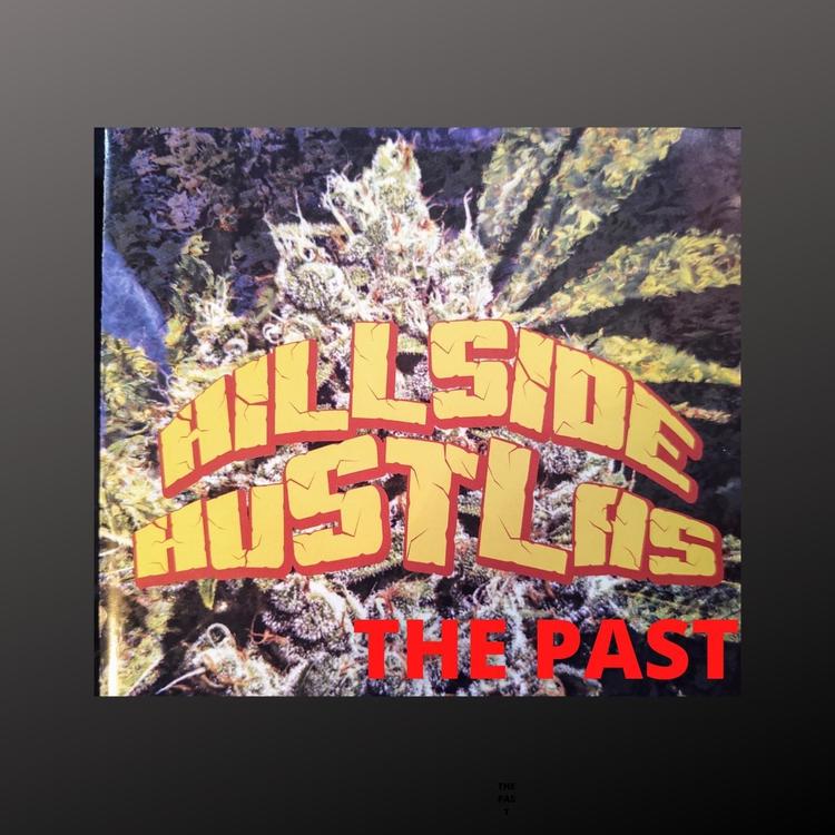 Hillside Hustlas's avatar image