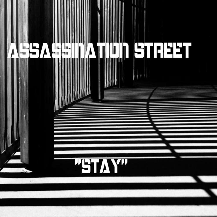 Assassination Street's avatar image