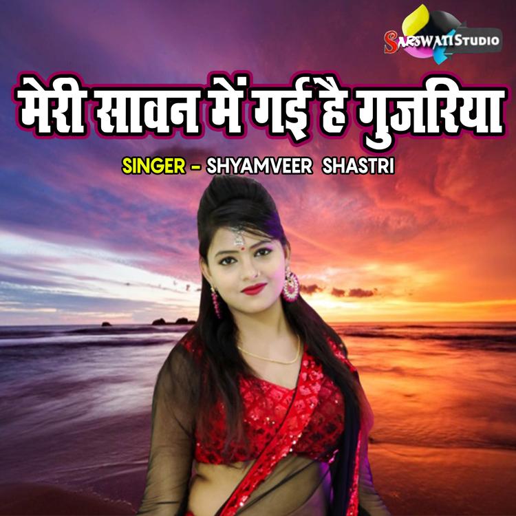 Shaymveer Shastri's avatar image