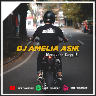 DJ AMELIA ASIK 's cover