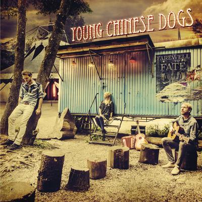It's the Morning Light That Is Taking You from Me By Young Chinese Dogs's cover