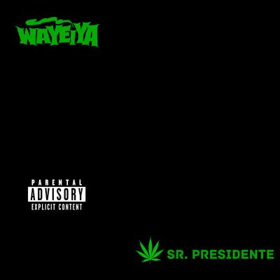 Señor Presidente's cover