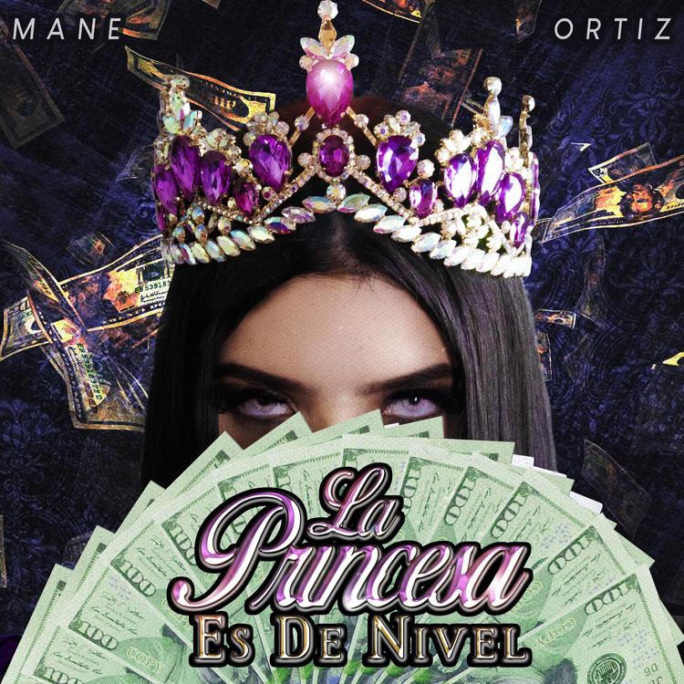 Mane Ortiz's avatar image