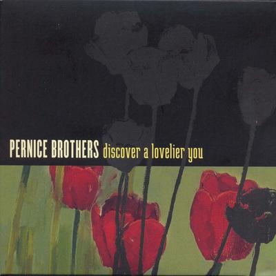 Saddest Quo By Pernice Brothers's cover