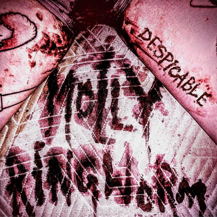 Molly Ringworm's avatar image