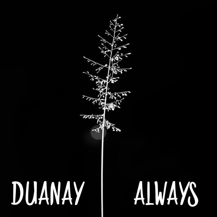 Duanay's avatar image