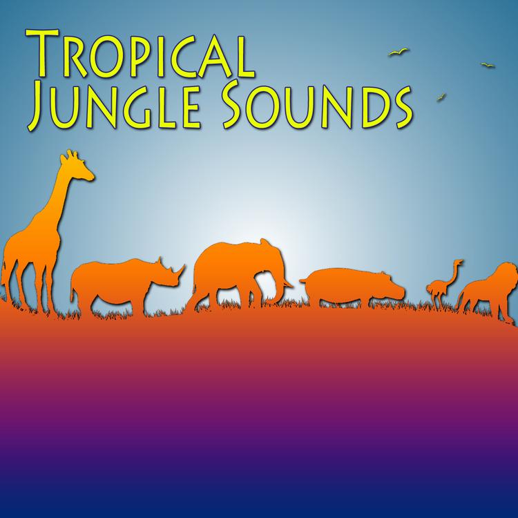 The Sounds Of Tropical Jungle's avatar image