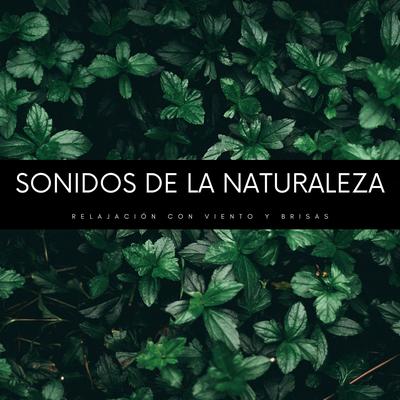 Sonidos De La Naturaleza: Relajación Con Viento y Brisas's cover