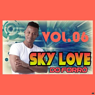Vamos Ficar de Bem By Sky Love do Forró's cover