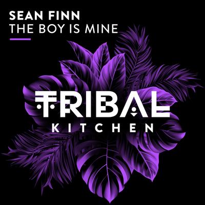 The Boy Is Mine By Sean Finn's cover