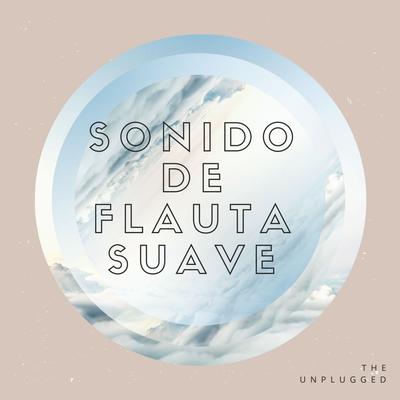 Sonido de Flauta Suave's cover