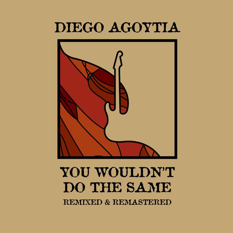 Diego Agoytia's avatar image