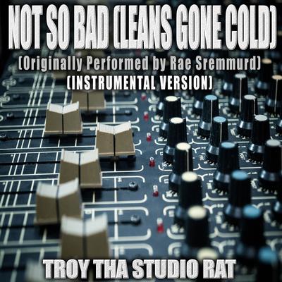 Not So Bad (Leans Gone Cold) (Originally Performed by Rae Sremmurd) (Instrumental Version) By Troy Tha Studio Rat's cover