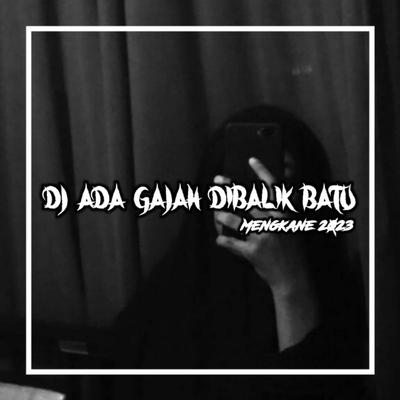 DJ ADA GAJAH DIBALIK BATU MENGKANE's cover