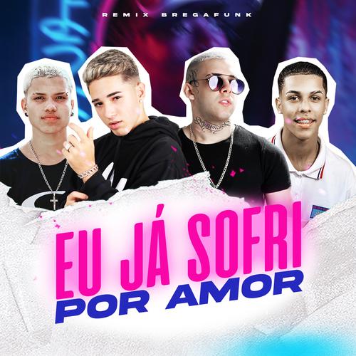 Eu Já Sofri por Amor (Brega Funk Remix)'s cover