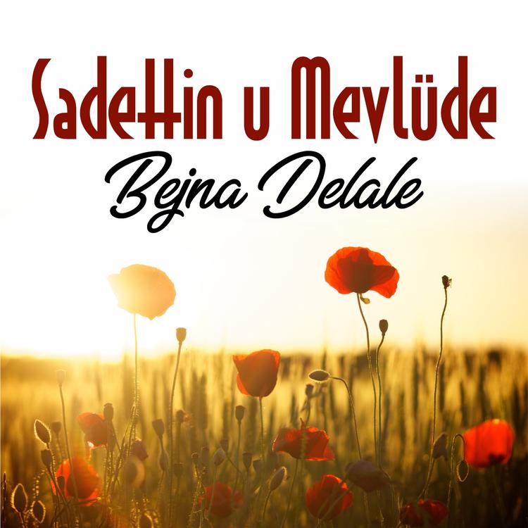 Sadettin u Mevlüde's avatar image