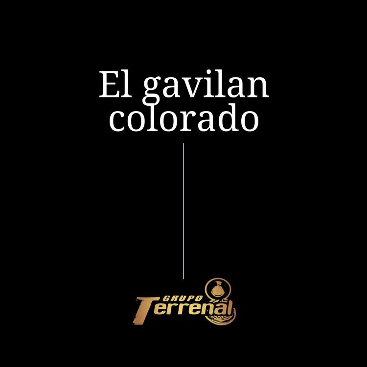 Grupo Terrenal's avatar image