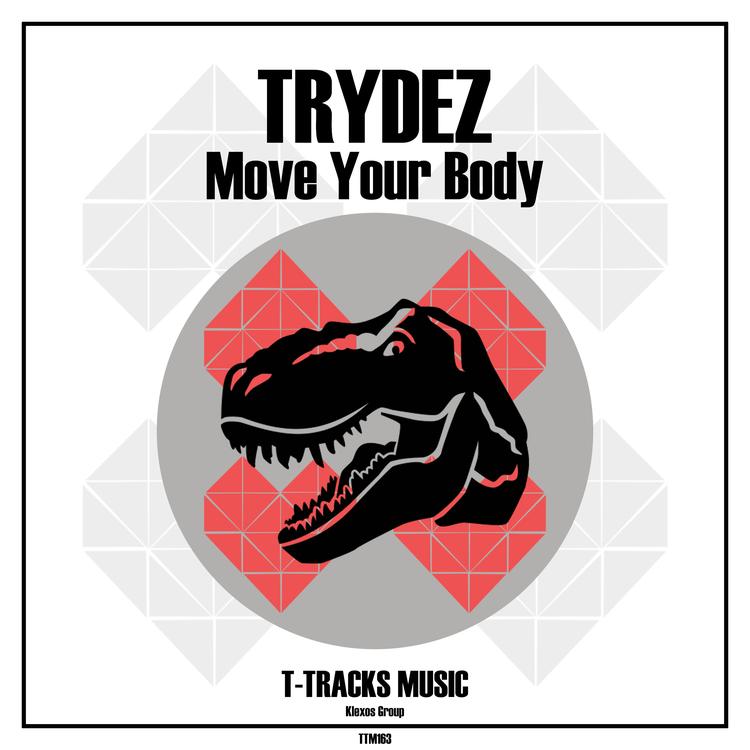 TRYDEZ's avatar image