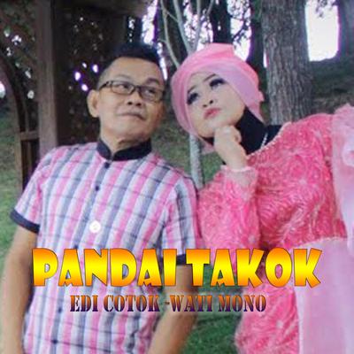 Pandai Takok (Remix)'s cover