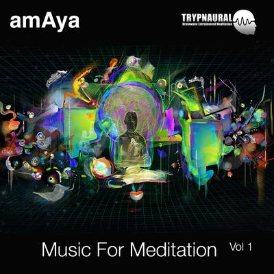 Music for Meditation Vol 1 Trypnaural's cover