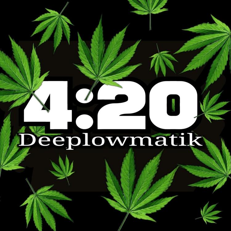 Deeplowmatik's avatar image