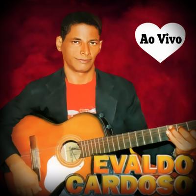 Voa Passarinho (Ao Vivo)'s cover