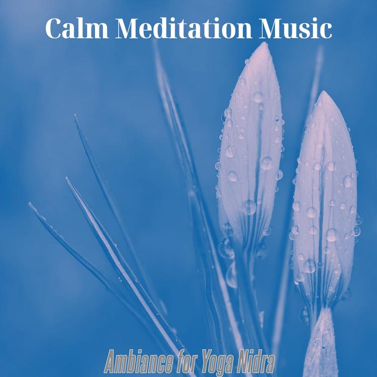 Calm Meditation Music's avatar image