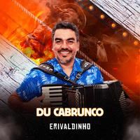 ERIVALDINHO DO ACORDEON's avatar cover