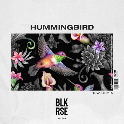 Hummingbird (KAAZE Mix) By BLK RSE, KAAZE's cover