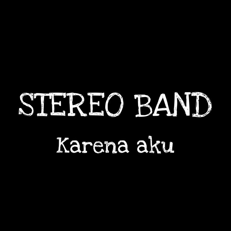 Stereo Band's avatar image