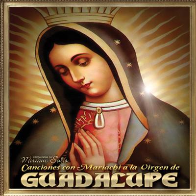Canciones Con Mariachi A La Virgen De Guadalupe's cover