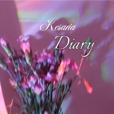 Diary (Sped Up)'s cover
