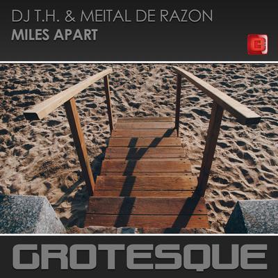 Miles Apart By DJ TH, Meital De Razon's cover