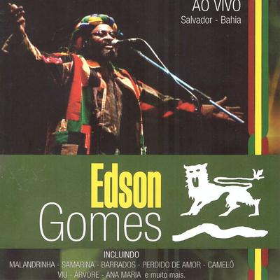 Malandrinha (Ao Vivo) By Edson Gomes's cover