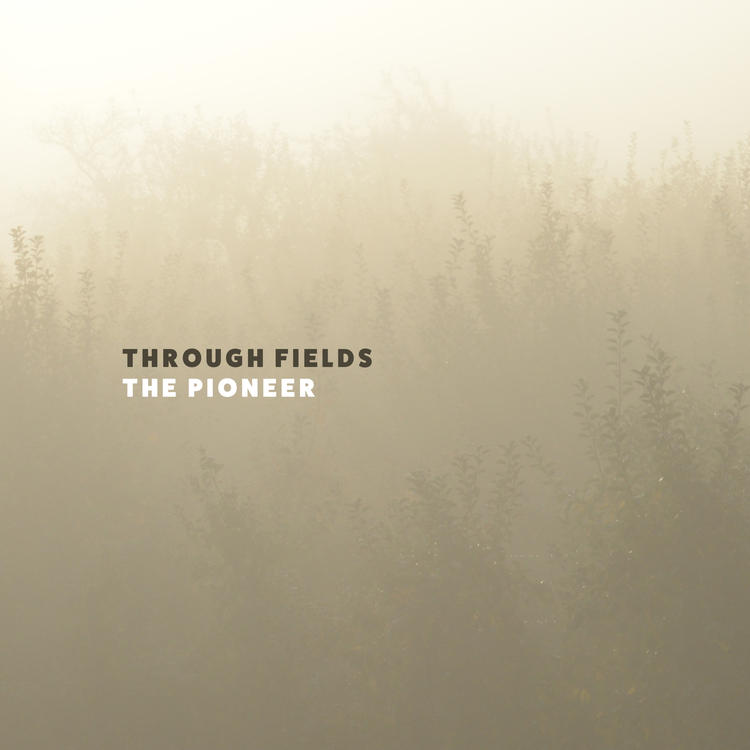 Through Fields's avatar image