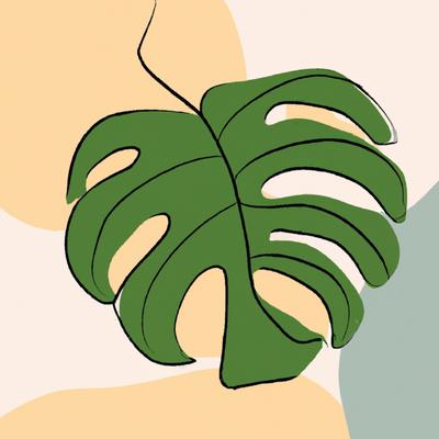 monstera By Domandal's cover